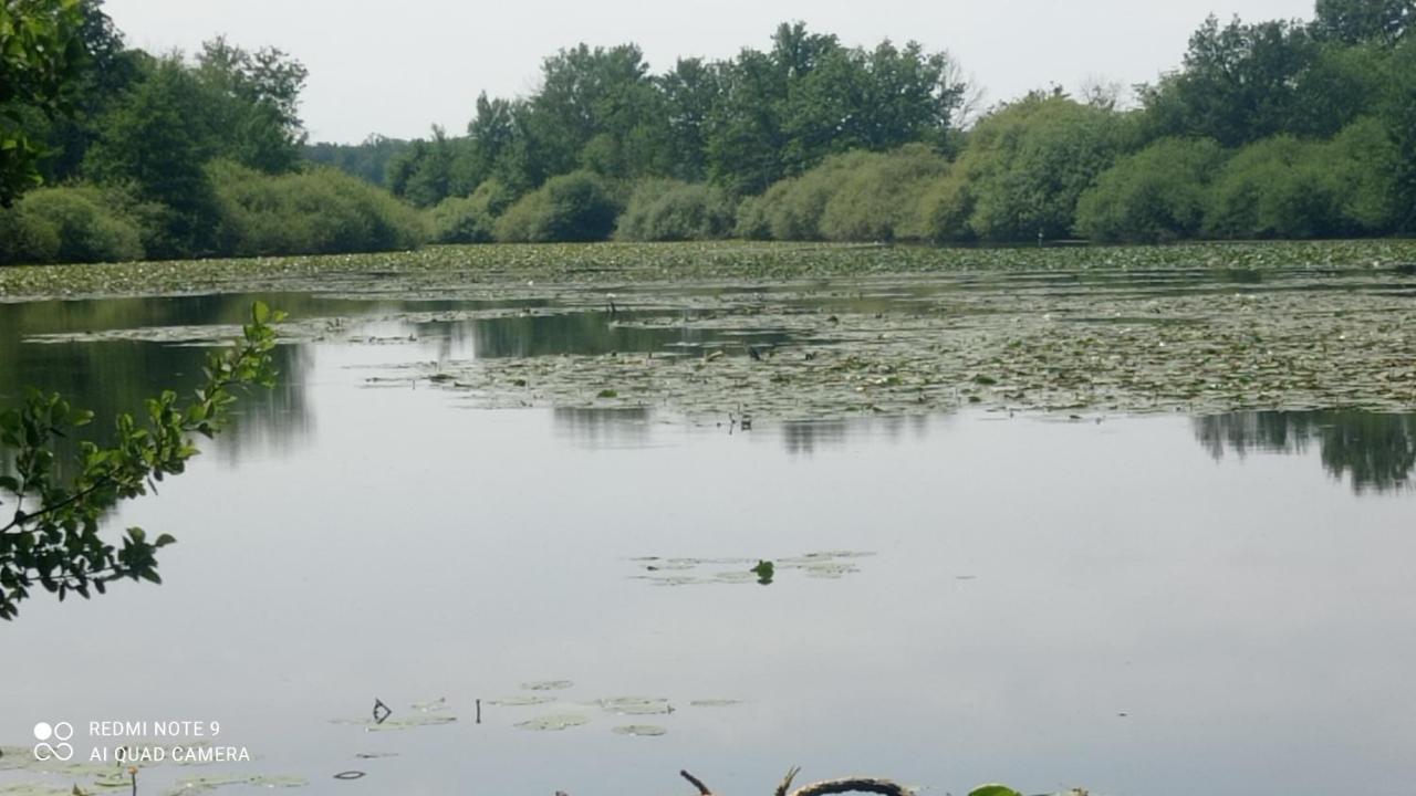 Maison De Ferme Au Calme Jusqu'A 10 Personnes Gannay-sur-Loire 외부 사진